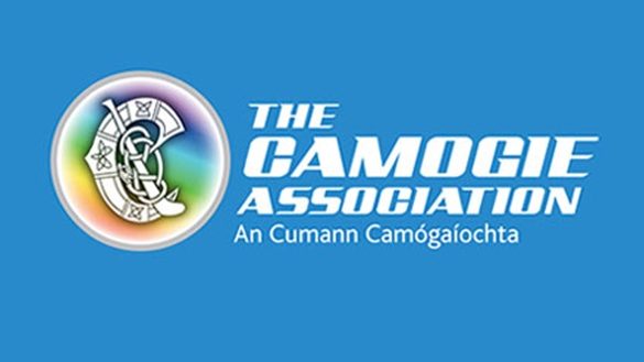 2023 Very Camogie League Division 1 – Clare 2-7 Kilkenny 0-11