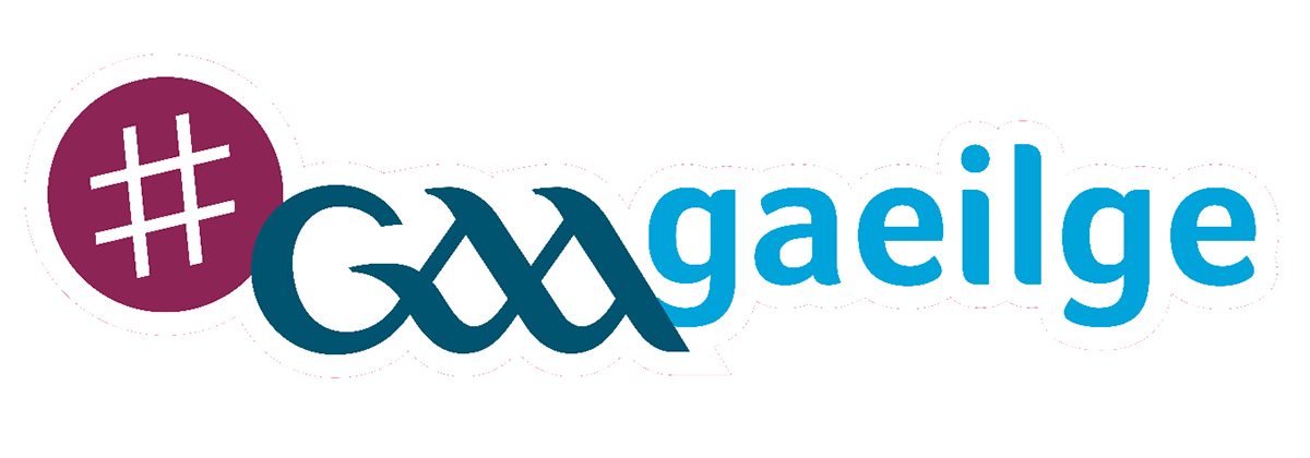 Gaeilge Munster GAA Survey